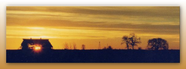 Feller Barn at sunrise right before it collapsed. Photo  by Jon Feller. The tree in the middle is seen on this picture to the far right. 